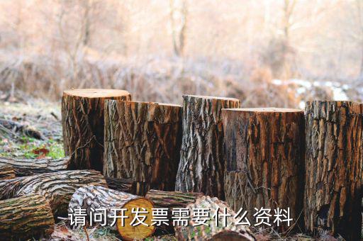 發(fā)票需要辦什么資料嗎，開發(fā)票需要什么東西嗎