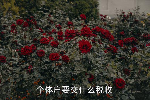 新開個(gè)體戶要交什么稅，我想開個(gè)小店當(dāng)個(gè)體戶請問要交什么稅