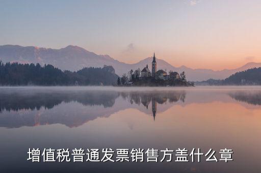 發(fā)票稅務章什么樣的，增值稅普通發(fā)票銷售方蓋什么章