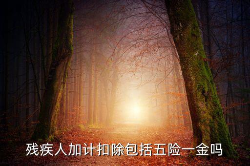 殘疾人加計扣除是什么意思，福利企業(yè)殘疾職工工資百分百加計扣除是怎么回事