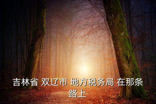 吉林市地稅局在什么位置，吉林市地方稅務局第二直屬稅務局在哪個區(qū)