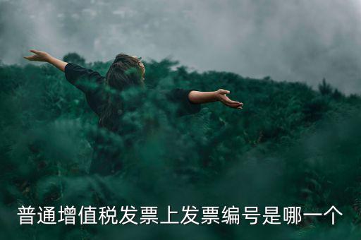 增值稅編號是什么，普通增值稅發(fā)票上發(fā)票編號是哪一個
