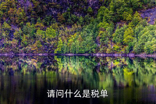 納稅申報單是什么，網(wǎng)上申報納稅都是什么報表 如何操作 簡單么
