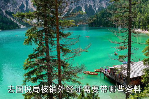 去國(guó)稅局核銷外經(jīng)證需要帶哪些資料