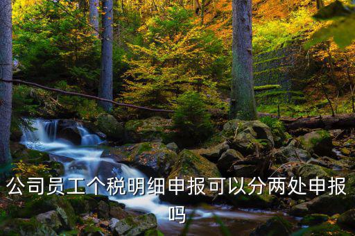 公司員工個稅明細(xì)申報(bào)可以分兩處申報(bào)嗎