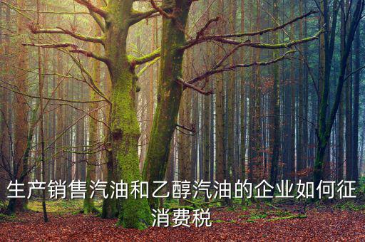 生產(chǎn)銷(xiāo)售汽油和乙醇汽油的企業(yè)如何征消費(fèi)稅