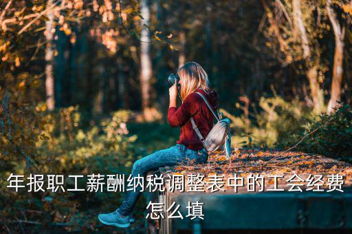 工會經(jīng)費(fèi)減除項(xiàng)填什么，網(wǎng)上報稅時又多了一項(xiàng)工會經(jīng)費(fèi)怎樣填寫計算
