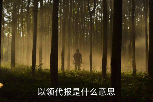 以領代報是什么意思