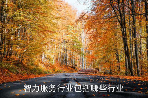 涉稅專業(yè)服務(wù)機(jī)構(gòu)包括什么，智力服務(wù)行業(yè)包括哪些行業(yè)