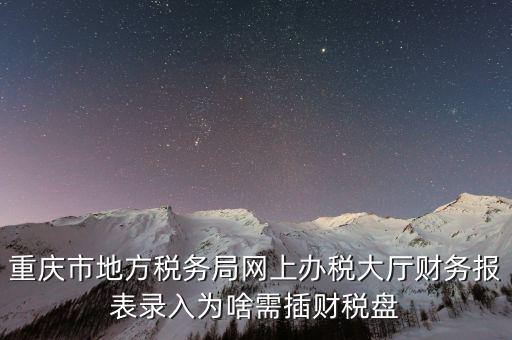重慶市地方稅務局網上辦稅大廳財務報表錄入為啥需插財稅盤