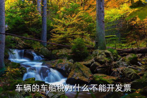 為什么車船稅沒(méi)有發(fā)票，車輛的車船稅為什么不能開(kāi)發(fā)票
