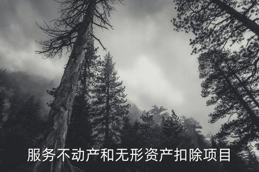 扣除項(xiàng)目 5什么意思，新個(gè)稅六項(xiàng)專(zhuān)項(xiàng)扣除是什么意思