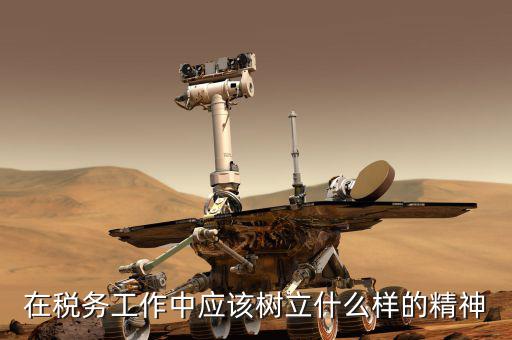 什么是地稅精神，在稅務(wù)工作中應(yīng)該樹立什么樣的精神