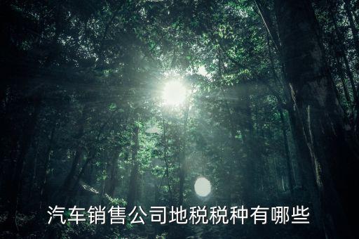 銷售汽車繳納什么稅，一般納稅人公司銷售使用過的汽車要交哪些稅