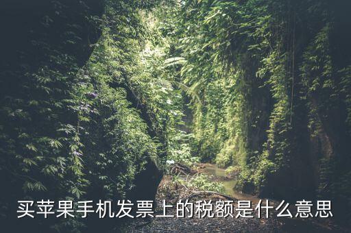 發(fā)票上的稅額是什么意思，買(mǎi)蘋(píng)果手機(jī)發(fā)票上的稅額是什么意思