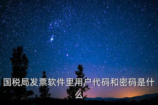 登錄稅務開票密碼是什么，國稅第一次網上申報的登陸密碼是什么