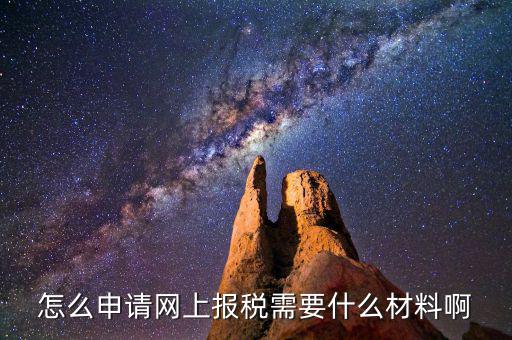 網(wǎng)上國稅報(bào)稅需要什么資料，怎么申請(qǐng)網(wǎng)上報(bào)稅需要什么材料啊