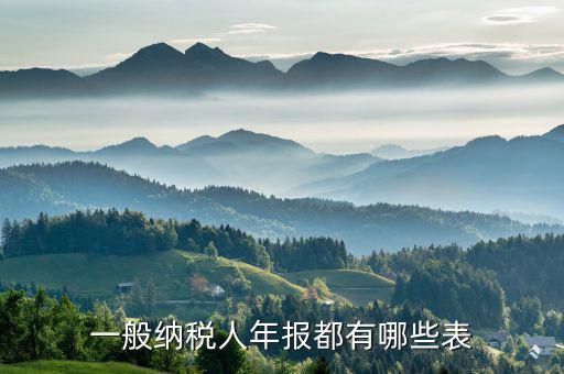 國稅年報是什么表，年報是指哪些報表是112月的嗎