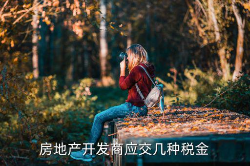 房地產(chǎn)公司交什么稅，房地產(chǎn)公司都要交什么稅