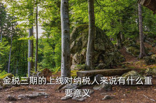 金三稅系統什么時間上線的，2016年金稅三期上線那金稅三期到底是啥呢