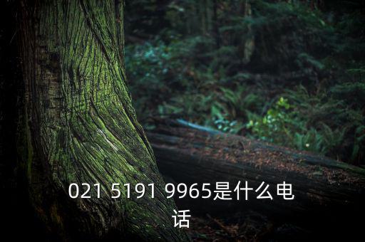 電稅中心是什么意思，021 5191 9965是什么電話