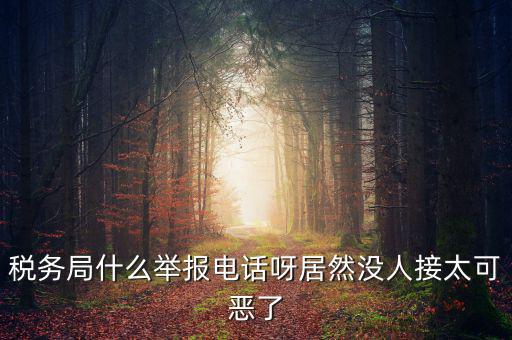 稅務(wù)局什么舉報(bào)電話(huà)呀居然沒(méi)人接太可惡了