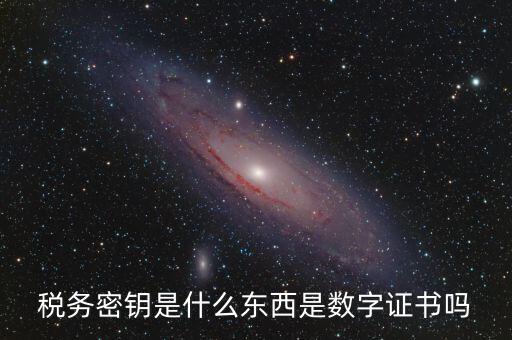 稅務密鑰是什么東西是數字證書嗎