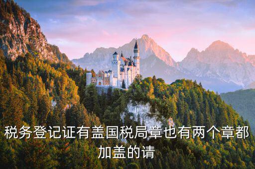 財(cái)稅證書(shū)什么樣，娛樂(lè)場(chǎng)所稅務(wù)登記證是什么樣子