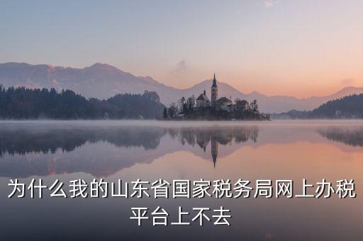 為什么登陸不了網(wǎng)上辦稅廳，為什么我的山東省國(guó)家稅務(wù)局網(wǎng)上辦稅平臺(tái)上不去