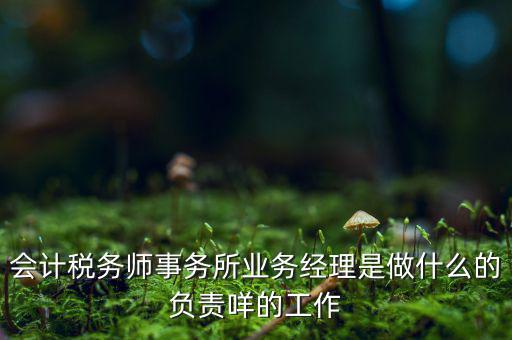 稅務(wù)師事務(wù)所做什么的，稅務(wù)所是干什么的