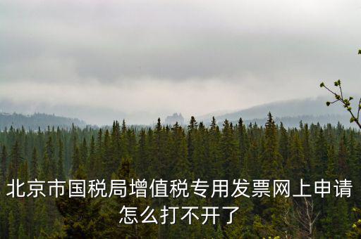 北京市國(guó)稅局增值稅專用發(fā)票網(wǎng)上申請(qǐng)?jiān)趺创虿婚_(kāi)了