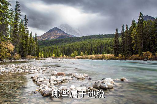 什么是地教稅，印花稅土地使用稅請(qǐng)問酒店要交地教稅土地使用稅是什