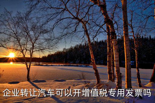 單位二手車轉(zhuǎn)讓未抵稅車開什么票，小企業(yè)出售二手車沒開發(fā)票要付什么憑證