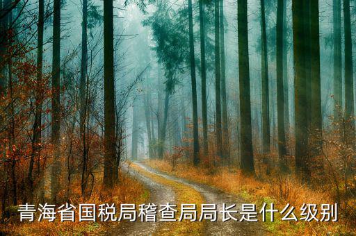 青海國稅精神是什么意思，青海省西寧城市精神是什么