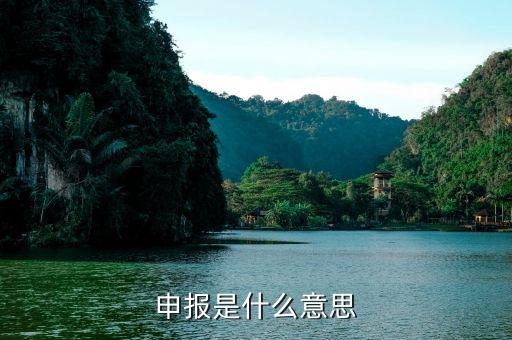 據(jù)實(shí)申報(bào)是什么意思，茲申報(bào)是甚么意思