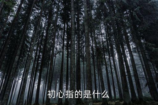 稅務(wù)人 初心是什么，納稅人意識是什么謝謝