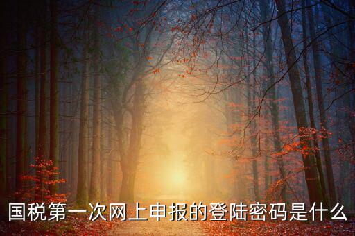國(guó)稅申報(bào)登陸密碼是什么，國(guó)稅第一次網(wǎng)上申報(bào)的登陸密碼是什么