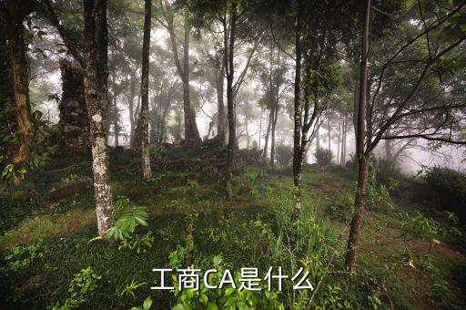 什么是企業(yè)ca密碼，ca證書密碼是什么