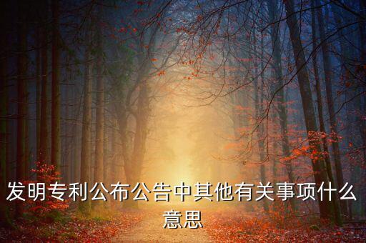 發(fā)明專(zhuān)利公布公告中其他有關(guān)事項(xiàng)什么意思