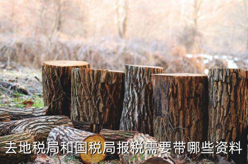 地稅局交稅需要什么，去地稅局繳納營業(yè)稅金及附加需要帶什么資料