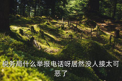 什么叫稅務舉報，稅務局什么舉報電話呀居然沒人接太可惡了