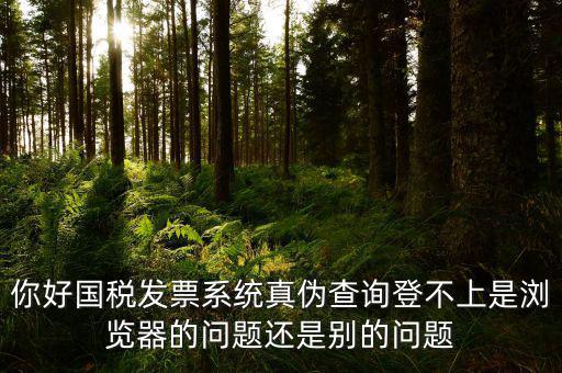 新疆國稅發(fā)票查詢?yōu)槭裁催M不去，為什么國稅官網(wǎng)中電子發(fā)票查詢打不開