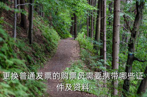 更換普通發(fā)票的購票員需要攜帶哪些證件及資料