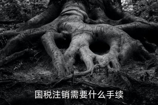 國(guó)稅局注銷(xiāo)要什么手續(xù)，國(guó)稅注銷(xiāo)需要什么手續(xù)