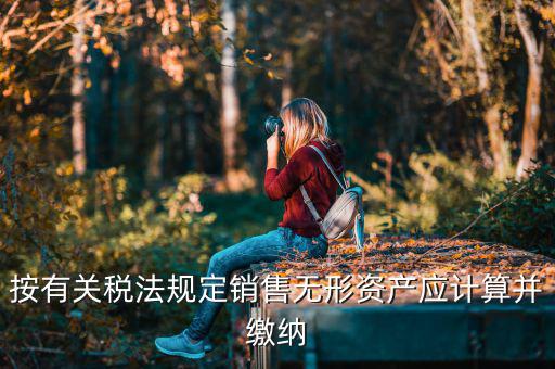 銷售無(wú)形資產(chǎn)交什么稅，按有關(guān)稅法規(guī)定銷售無(wú)形資產(chǎn)應(yīng)計(jì)算并繳納