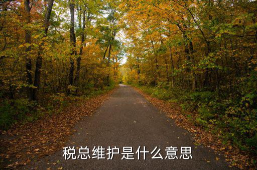 涉稅軟件維護費是什么東東，稅總維護是什么意思