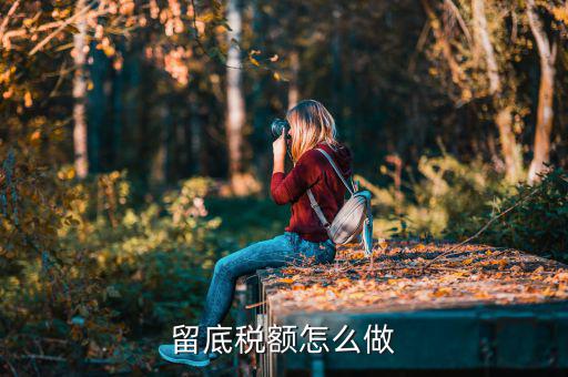 掛賬留底稅額是什么意思，留底稅額怎么做