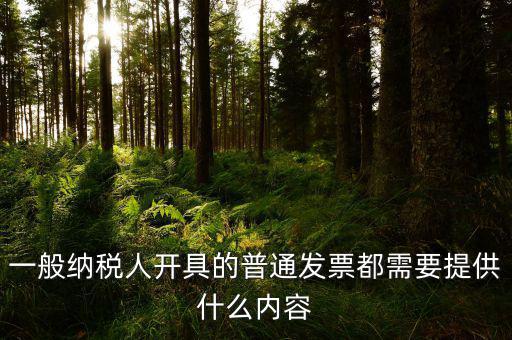 申請普票都需要什么，一般納稅人申請普通發(fā)票所帶的資料