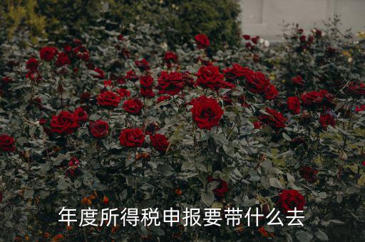 納稅申報應帶什么東西，你好 到稅務局報稅需要帶什么東西怎么報