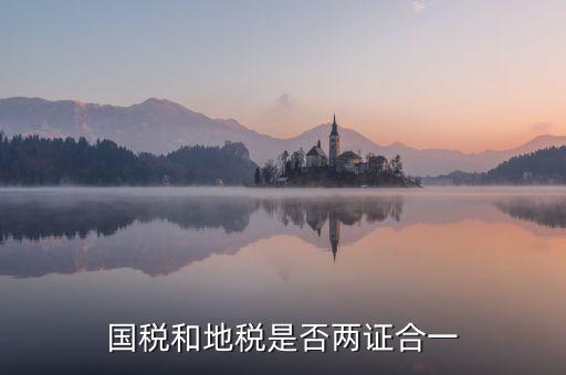 國稅的兩證合一是什么意思，國稅和地稅是否兩證合一